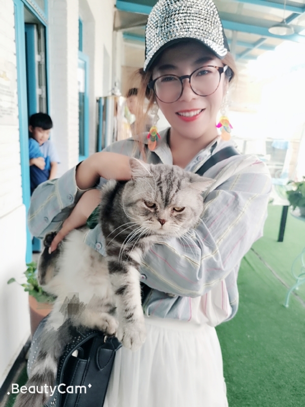 小黑猫的第一张照片--商丘相亲服务中心