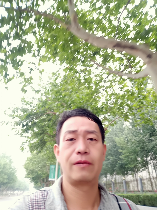 阳光的第一张照片--商丘相亲服务中心