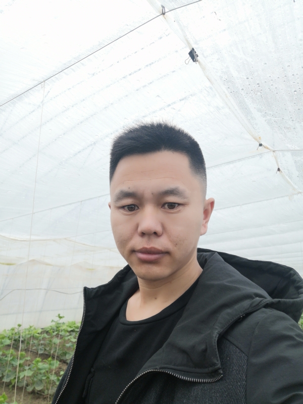 宇成的第二张照片--商丘相亲服务中心