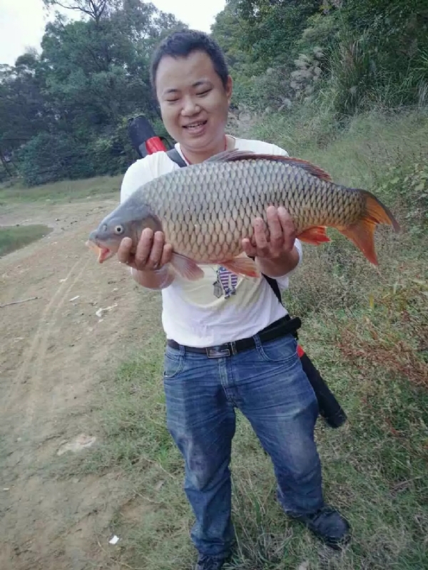 迷路的男人的第一张照片--商丘相亲服务中心