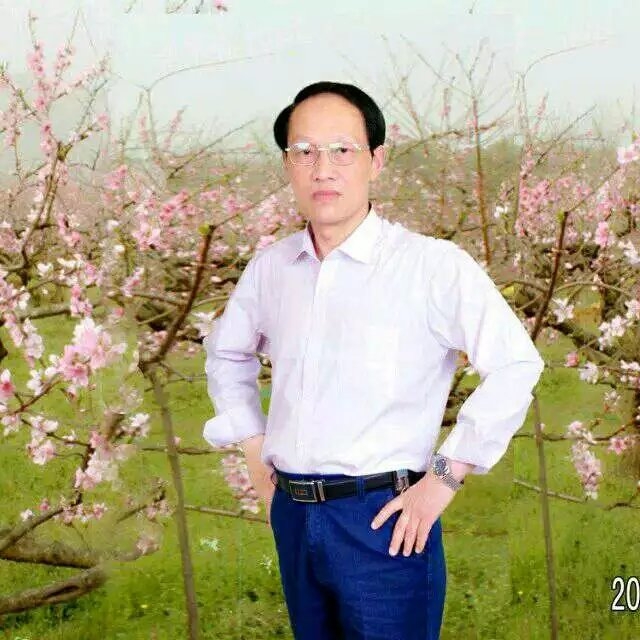枫叶的第一张照片--商丘相亲服务中心