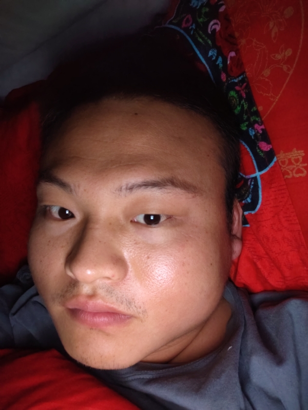 大黄的第一张照片--商丘相亲服务中心