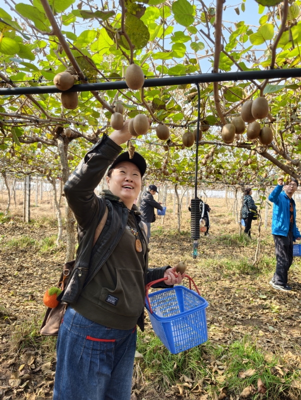 夜莺的第四张照片--商丘相亲服务中心